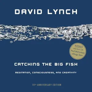 Catching the Big Fish: Meditation, Consciousness, and Creativity: 10th Anniversary Edition Paperback  September 6, 2016