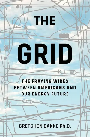 The Grid: The Fraying Wires Between Americans and Our Energy Future Paperback  Illustrated, July 11, 2017