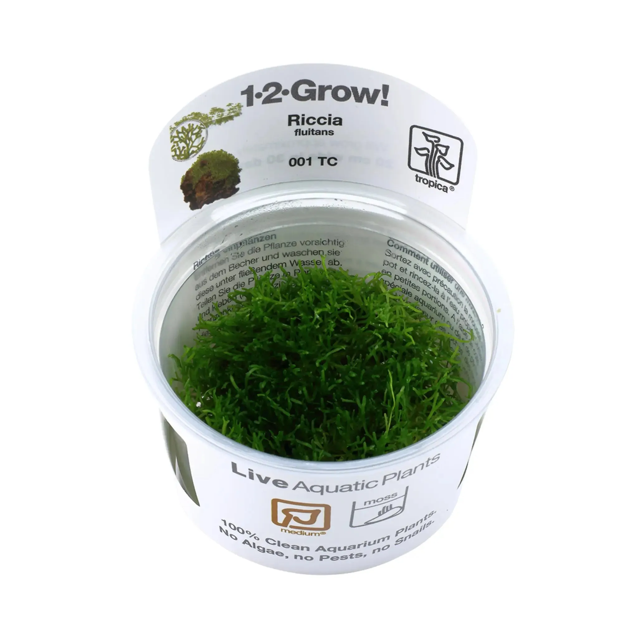 Tropica Riccia fluitans 1-2-GROW!