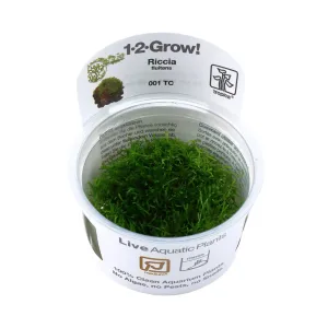 Tropica Riccia fluitans 1-2-GROW!